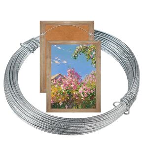 Romeda Picture Wire, 65.6 Feet Picture Hanging Wire, Hanging Wire for Picture Frame, Billboards, Artwork, Mirror, Warning Signs, Flowerpots, Lamps