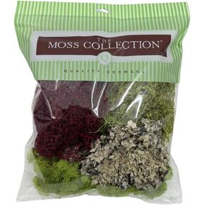 مزارعو الجودة The Moss Collection Failary Pack Moss (Red Mix ، Medium)