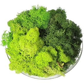 9 OZ Moss Green Preserved Artificial Decorative Moss Faux 3 Colors Mix Garden Dried Floral Forest Spanish Moss for Christmas Terrariums Potted Plants Craft Supplies (Dark Green, Green, Chartreuse)