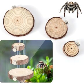 3pcs Jumping Spider Enclosure Ledges, Magnetic Jumping Spider Enclosure Ledges Ladder Magnets Jumping Spider Habitat Pet Spider Enclosure Accessories