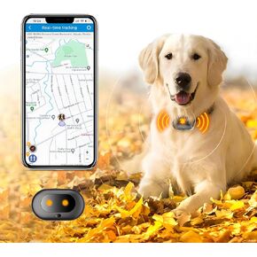 GPS 4G Tracker & Health Monitoring for Dog with LED Light Up,Sounding, Waterproof GPS Location & Smart Pet Activity Tracker, Super Long Standby time, Unlimited Range use for Dogs Collar