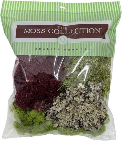 Quality Growers Variety Mix Moss, Preserved Moss, Red Mix, Small 1-Pack in Kuwait