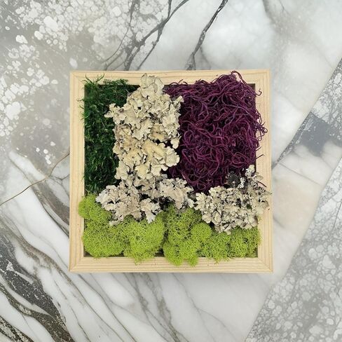 Quality Growers Variety Mix Moss, Preserved Moss, Red Mix, Small 1-Pack in Kuwait