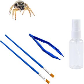 Jumping Spider Enclosure Accessories, Spider Terrarium Accessories, Tarantula Enclosure Kit, Jumping Spider Starter Kit with Spray Bottle Soft Paint Brush Jumping Spider Food Feeding Tweezers