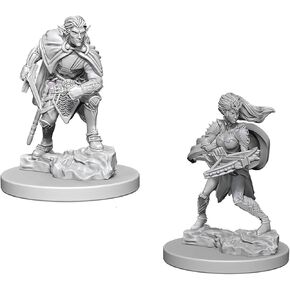 D&D Nolzur's Marvelous Miniatures: Drow