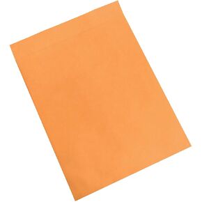 Aviditi Jumbo Envelopes, 17" x 22", Kraft, Large Envelopes For Protecting, Mailing and Shipping Oversized Printed Items, Case of 100