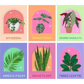 طلاء Syarhwhimsy 6 Pack by Numbers للمبتدئين البالغين ، وسهولة الطلاء النباتي الخضراء من الأكريليك من خلال مجموعات الأرقام على القماش بدون إطار ، وطلاء البالغين DIY حسب الرقم للحصول على جدار المنزل ديكور (8x12inch)