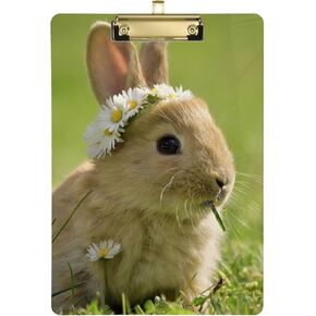 Clipboards, Easter Bunny Letter Size Plastic Clipboard for Students Teacher Kids Women and Man, Acrylic Clip Board 9" x 12.5" with Low Profile Metal Clip for Office School