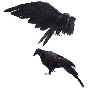2-Pack Realistic Crows Lifesize Extra Large Handmade Black Feathered Crow for Halloween Decorations Birds, L (13 inch+12 inch)