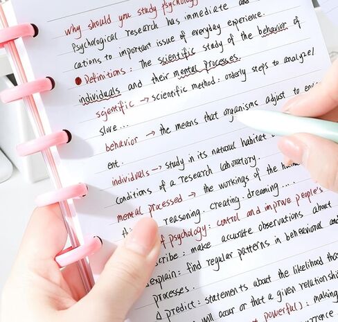 حجم الحرف ورقة مبطنة ، 11 TUL DISC Paper Insert - 50 ورقة/100 صفحة تعبئة مخطط ورقة ورقة فضفاضة ، 5 فواصل TAB ملونة ، 8.5 "× 11" in Kuwait