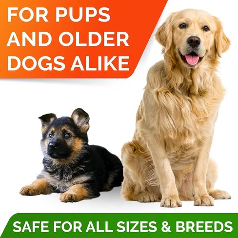 زيت السمك في Strellalalab يعامل Omega 3 للكلاب - الحساسية والراحة - البراغيث والمضغ للكلاب - مكملات الجلد والمعطف - سفك ، حكة في الجلد - 160 +CT (حزمة 1) - كبد لحم البقر in Kuwait