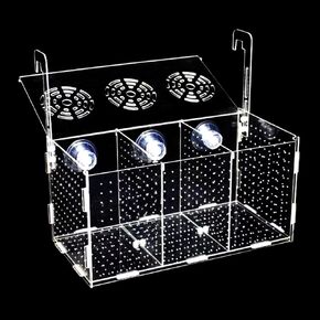 Fish Breeding Box, Acrylic Fish Isolation Box Fish Separator for Aquarium Hatchery Incubator with Suction Cups for Baby Fishes Shrimp Clownfish(11.8 * 5.9 * 5.9 inch)