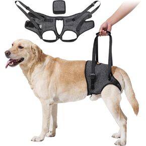 HEYWEAN Dog Sling for Large Dogs Hind Leg Support Harness Ideal for Elderly Injured Arthritic Dogs Provides Rehabilitation Aid for Weak Back Legs Comfortable and Durable Design