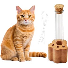 Cat Whisker Jar ، Mini Glass Vase for Cat Whiskers ، Cat Whisker Holder ، Cat Whisker Collector و Keeper ، هدية تذكارية أنيقة لمحبي الحيوانات الأليفة