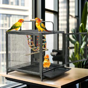 Small Travel Bird Cage Carrier: 22Inch Wrought Iron Portable Birds Transport Cage with Ladder Swing for Small Parrots Canaries Budgies Parrotlets Lovebirds Conures Cockatiels