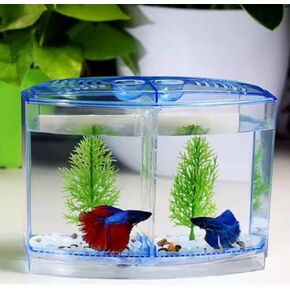 Aquarium Fish Breeder Box Plastic Fish Isolation Breeding Box with 2 Divisions and Plant for Baby Fish Shrimp Clownfish Guppy