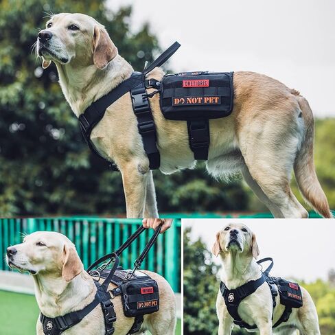 OneTigris Service Dog Vest Harness, Service Dog Cape Guardian Dog Backpack Harness with Pouches Dog Saddle Bag for Small Medium and Large Dogs (Black, M) in Kuwait