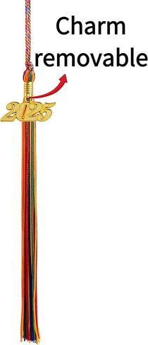 10 قطع التخرج شرابات 2025 ، شرابات التخرج الخضراء لتخرج Cap 2025 ، Green 2025 Tassels Tassels in Kuwait