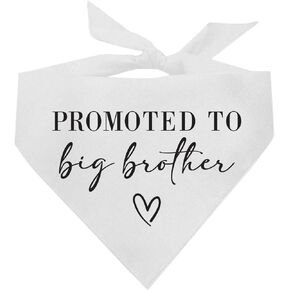 تم ترقيته إلى Big Brother Baby Aborrication Dog Bandana (White ، OS 691) GB