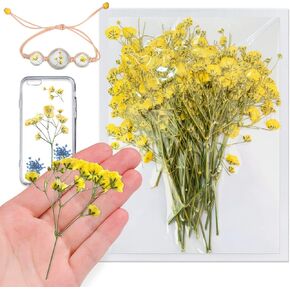 الزهور الطبيعية المجففة الطبيعية الججر مع جذع للراتنج ، 42 بكسل 42 ٪ مضغوطة أزهار babysbreath ، الزهور الجافة لمجوهرات راتنج DIY علبة الحرف الشمعة صنع شمعة المنزل
