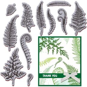 GLOBLELAND Fern Leaf Cling Rubber Stamp Plant EVA Cling Mount Script Spring Rubber Stamp Set for Card Making Photo Album Decor Decoration DIY Scrapbooking
