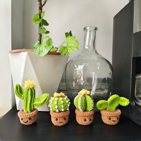 4 Style Cactus Crochet Kit for Beginner, Step-by-Step Crochet Tutorial Help to Easy Get Start, DIY Crochet Knitting Material Kit Include All Tools Needed, Best Gift for Friends and Someone You Love