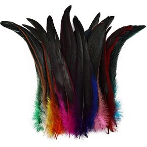 Colorful Rooster Tail Feathers-50PC 10-12inch Natural Long Rooster Tail Feathers Bulk (Mixed Color)