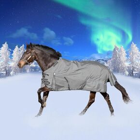 Equinavia Arktis Regular Neck Turnout Sheet - Carbon Gray - 78 in