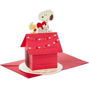 Hallmark Paper Wonder Peanuts Pop Up Valentines Day Card (Snoopy and Woodstock)