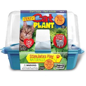 Toys By Nature Miniature Worlds Terrifying Venus Flytrap Terrarium Kit - Watch Carnivorous Monsters Grow! Just Add Water! (Frightening Flytraps)