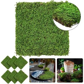 تونديامو 6 متر مربع. قدم. طحالب ورقة طبيعية محفوظة للنباتات المجففة Moss Mat Spring Diy Green Moss لتزيين مائدة الزفاف الجدران حديقة ديوراما ديكور عيد الفصح (أخضر) in Kuwait