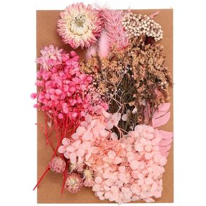 PATIKIL Pressed Flowers for Craft, Bulk Dried Flowers Natural Pressed Flowers Leaves for Resin Soap Candle Scrapbooking DIY Gift Papermaking, Pink Series