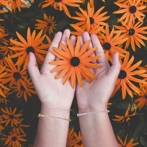 8 PCS NETLACE Extender Extender (4 Gold+4 Silver) تمديد سلسلة الفولاذ المقاوم للصدأ للقلائد ، 2 "، 3" ، 4 "، 6" مجموعة سلسلة موسع in Kuwait