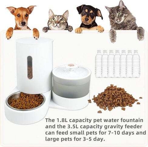 2 في 1 نافورة مياه القط الأوتوماتيكي ومجموعة كبيرة من تغذية الجاذبية ، مع مرشح شعر الحيوانات الأليفة وعاء تغذية الفولاذ المقاوم للصدأ ، مثالية للجرو والقطط والكلاب الصغيرة إلى المتوسطة والأرانب (أبيض) in Kuwait