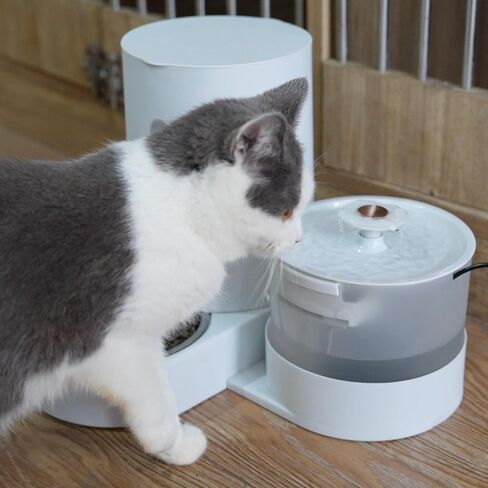 2 في 1 نافورة مياه القط الأوتوماتيكي ومجموعة كبيرة من تغذية الجاذبية ، مع مرشح شعر الحيوانات الأليفة وعاء تغذية الفولاذ المقاوم للصدأ ، مثالية للجرو والقطط والكلاب الصغيرة إلى المتوسطة والأرانب (أبيض) in Kuwait