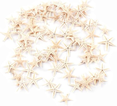 مجموعة صغيرة الحجم من Fairy Garden Beach Critter Starfish Marine Life لمشاريع الفنون والحرف اليدوية والديكورات ومفضلات الحفلات والدعوات (90 قطعة) in Saudi Arabia
