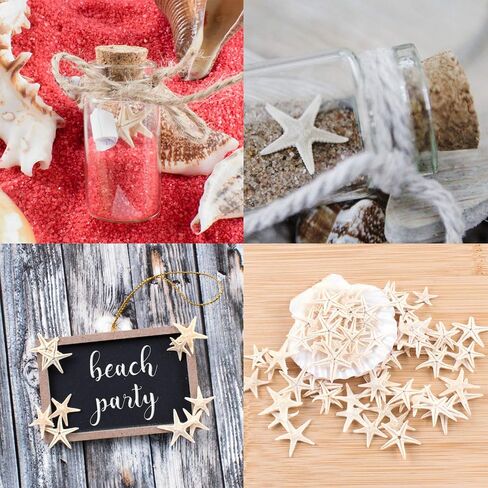 مجموعة صغيرة الحجم من Fairy Garden Beach Critter Starfish Marine Life لمشاريع الفنون والحرف اليدوية والديكورات ومفضلات الحفلات والدعوات (90 قطعة) in Saudi Arabia
