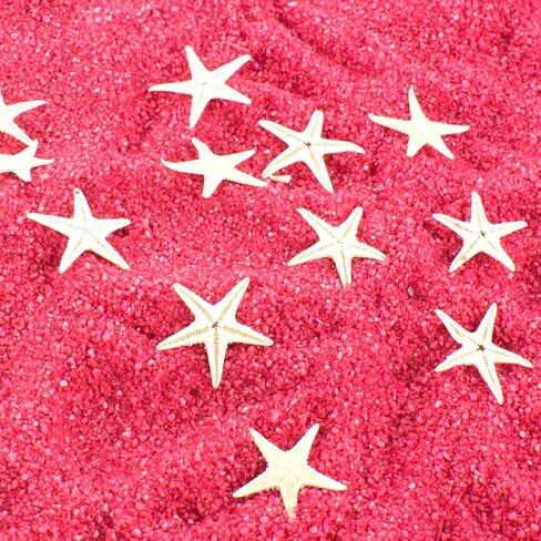 مجموعة صغيرة الحجم من Fairy Garden Beach Critter Starfish Marine Life لمشاريع الفنون والحرف اليدوية والديكورات ومفضلات الحفلات والدعوات (90 قطعة) in Saudi Arabia
