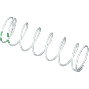 Traxxas XX-Long White GTR Shock Spring Vehicle