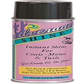 Silverado Shine Highlighter