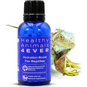 HealthyAnimals4Ever Hydration Boost for Reptiles - Natural Formula for Moisture Balance, Skin Vitality & Energy Support - Ideal for Low-Humidity Environments - 300 Count