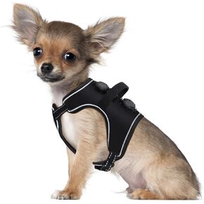 Dog Harness Knob Adjustment - MOOECKOM Dog Harness for Small Dogs, Soft and Reflective Puppy Harness, Dog Harness for Small Size Dogs Training, Walking Small Dog Harness (Size:S)