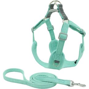Benala No Pull Dog Harness Leash Reflective- Velvet Pet Harness Comfortable Adjustable Control - Step-in Walk Running DOD Cat Harness Set,Green,M