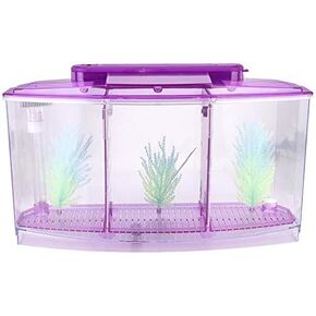 Mini Fish Box, Plastic Aquarium Isolation Box Acrylic Breeding Hatchery Small Fishes Incubator Mini Fish with Three Divisions and LED Light(Purple)