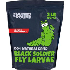 North American Grown Dried Black Soldier Fly Larvae (2 lbs) - More Calcium Than Mealworms - Treats for Chickens, Wild Birds, & Reptiles