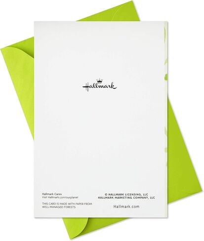 Hallmark Pack of St. Patricks Day Cards ، Best of Everything (6 بطاقات مع الأظرف) (599STH1004) in Saudi Arabia