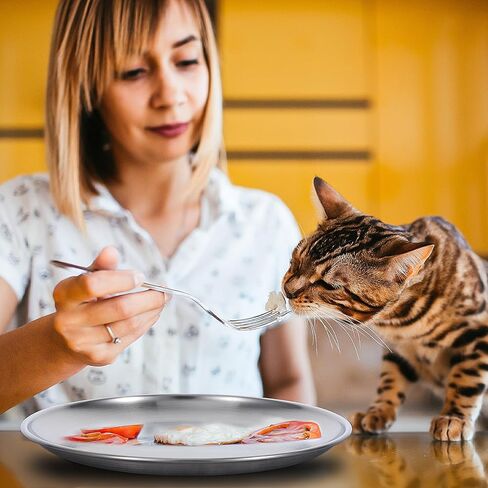 12 PCS Stainless Steel Whisker Friendly Cat Bowl Shallow Cat Food Dish 6.7 Inch Cat Wet Feeding Bowls Flat Cat Dish Small Pet Plate (Silver) in Kuwait