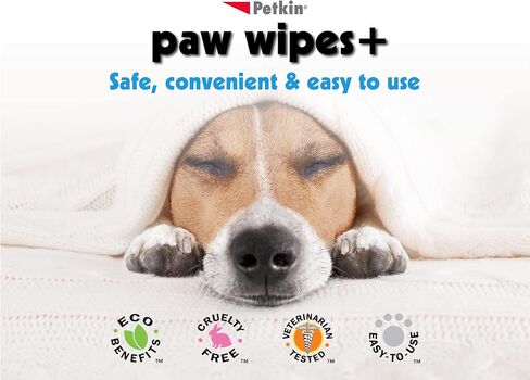 Petkin Paw Wipes Plus ، 200 مناديل معطرة برتقالية ، 2 حزمة - مناديل Pet Pet oussorbbent إزالة الأوساخ اليومية والروائح - المخصب مع Paw Balm Protrayant - سليمة لاستخدام مناديل الحيوانات الأليفة للكلاب والقطط والجرى والسيتينس in Kuwait