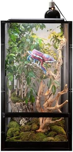 مجموعة Zoo Med Deluxe Chameleon in Kuwait