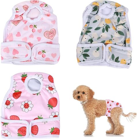 حفاضات الكلب القابلة لإعادة الاستخدام أنثى ، 3 حفاضات الكلب القابلة للغسل للكلاب الإناث جرو حفاضات السراويل الإناث in Kuwait